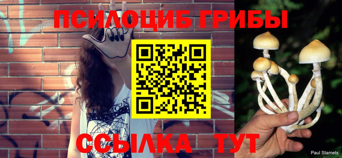 Псилоцибиновые грибы Cubensis Большой Камень