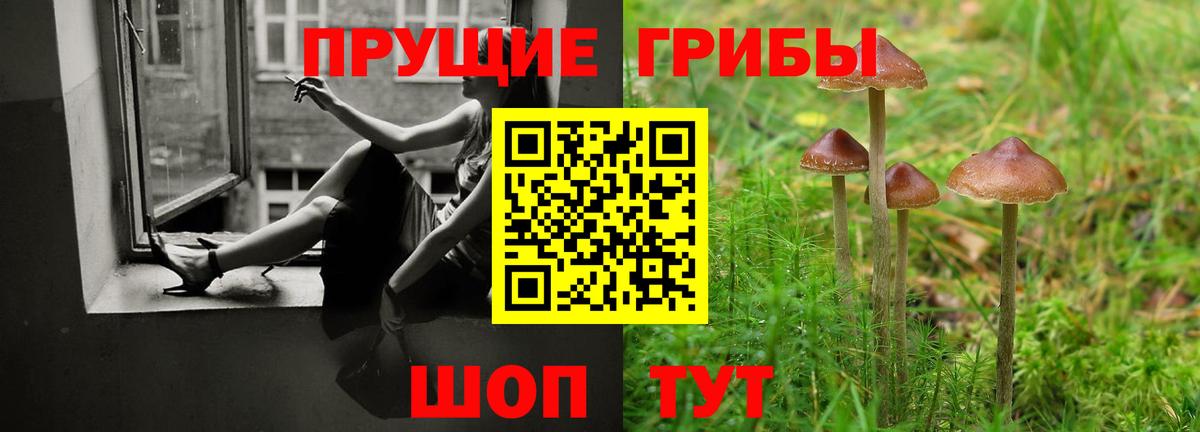 Галлюциногенные грибы Psilocybe  Большой Камень 